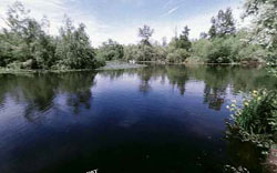 Aboretum
